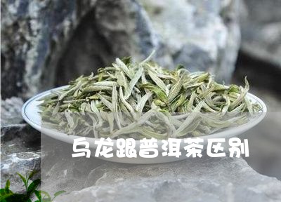 乌龙跟普洱茶区别/2023112639692