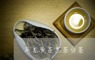 乌龙黄茶黑茶白茶/2023061488170