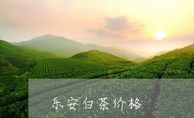 乐安白茶价格/2023051249695