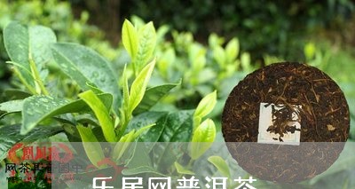 乐居网普洱茶/2023090682917