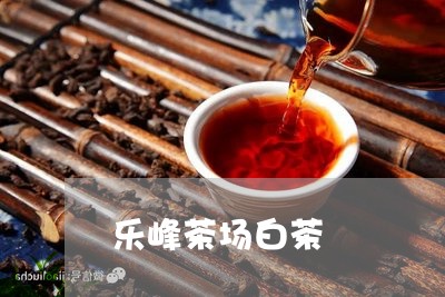 乐峰茶场白茶/2023051283828