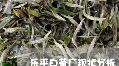 乐平白茶厂现状分析/2023121639258