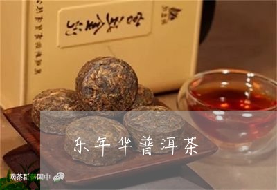 乐年华普洱茶/2023042899593