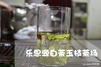 乐思源白茶玉枝茶场/2023081267261