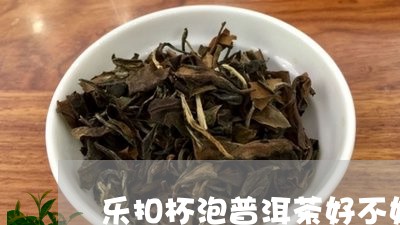 乐扣杯泡普洱茶好不好/2023061571512