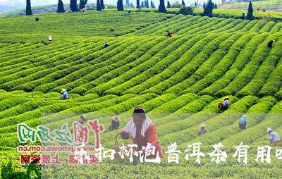 乐扣杯泡普洱茶有用吗/2023092758150