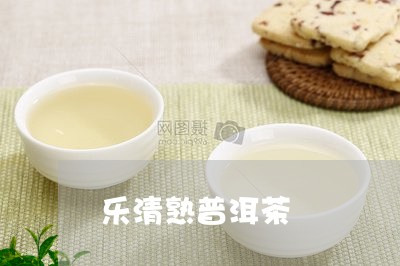 乐清熟普洱茶/2023042847832