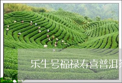 乐生号福禄寿喜普洱茶/2023092650502