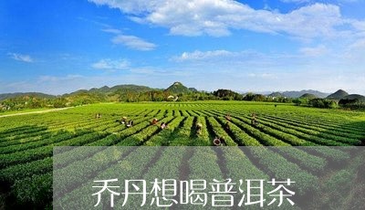 乔丹想喝普洱茶/2023112655172