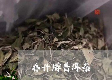 乔丹牌普洱茶/2023042635752