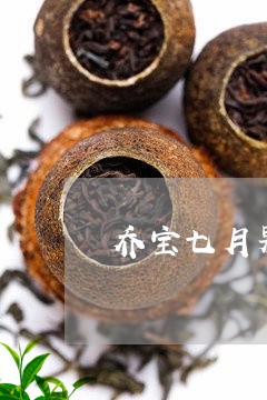 乔宝七月果柑普茶价格/2023071656202