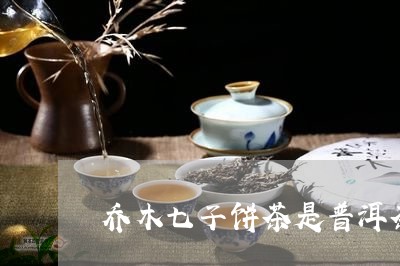 乔木七子饼茶是普洱茶/2023062378470