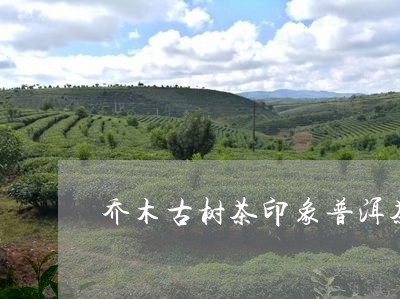 乔木古树茶印象普洱茶/2023080325050