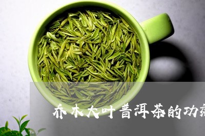 乔木大叶普洱茶的功效/2023093098392