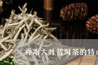 乔木大叶普洱茶的特点/2023093048360