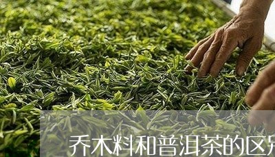 乔木料和普洱茶的区别/2023061887580