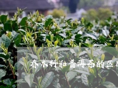 乔木料和普洱茶的区别/2023092806179