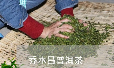 乔木昌普洱茶/2023042791595