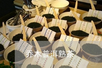 乔木普洱熟茶/2023042941974