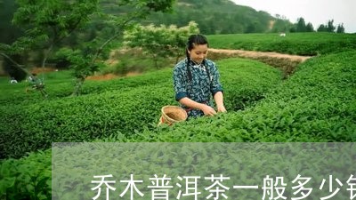 乔木普洱茶一般多少钱/2023072179840