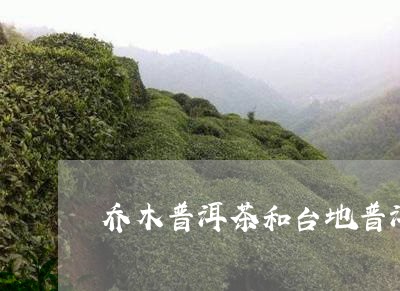 乔木普洱茶和台地普洱茶哪个好/2023052923936