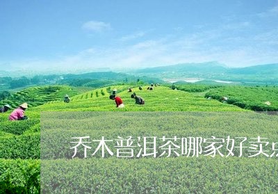 乔木普洱茶哪家好卖点/2023110359260