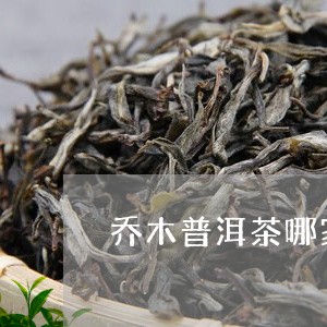 乔木普洱茶哪家好喝一点/2023082791704