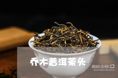 乔木普洱茶头/2023042778458