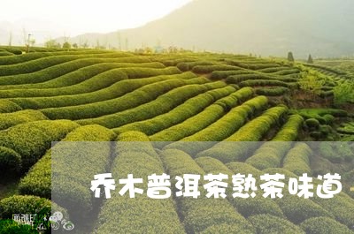 乔木普洱茶熟茶味道/2023091438248