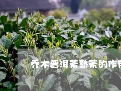 乔木普洱茶熟茶的作用/2023100751625