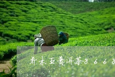 乔木王普洱茶8668/2023062753925