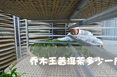 乔木王普洱茶多少一斤/2023062085169