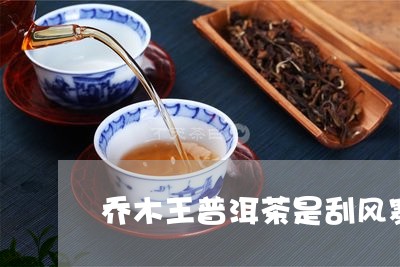 乔木王普洱茶是刮风寨的吗/2023112873946