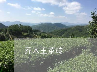 乔木王茶砖/2023090601926