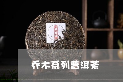 乔木系列普洱茶/2023081542735