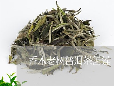 乔木老树普洱茶善莲/2023080397050