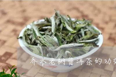 乔木老树普洱茶的功效/2023062437463