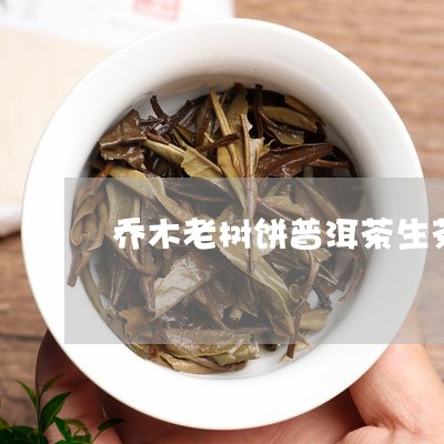 乔木老树饼普洱茶生茶/2023112565148