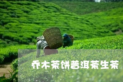 乔木茶饼普洱茶生茶/2023120561815