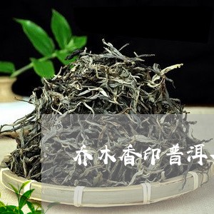 乔木香印普洱茶多少钱/2023092705161