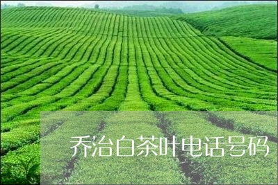 乔治白茶叶电话号码/2023071506262