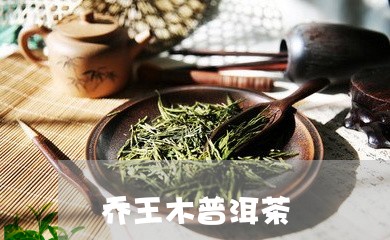 乔王木普洱茶/2023042595015