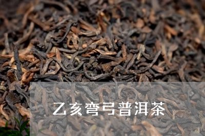 乙亥弯弓普洱茶/2023081506283