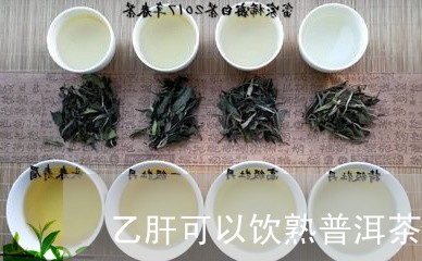 乙肝可以饮熟普洱茶吗/2023062498473