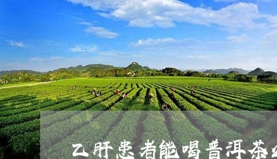 乙肝患者能喝普洱茶么/2023061546350