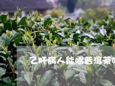 乙肝病人能喝普洱茶吗/2023093082716