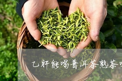 乙肝能喝普洱茶熟茶吗/2023112559372