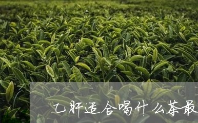 乙肝适合喝什么茶最好/2023071303059