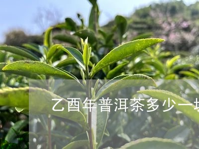 乙酉年普洱茶多少一块/2023072470593