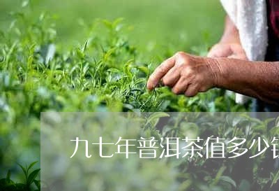 九七年普洱茶值多少钱/2023061442738